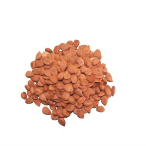 Naturliga Aprikos kärnor<br>هسته زردآلو