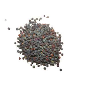 Vilt Pistage (Khinjak – خنجک)