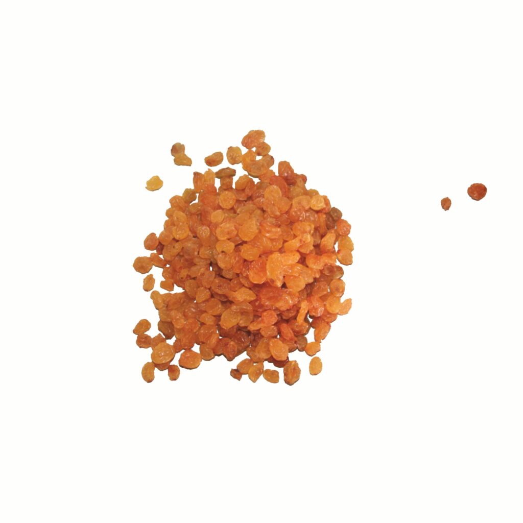 Gula Russin / Golden Raisin